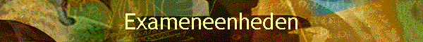 Exameneenheden